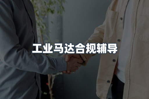 工业马达合规辅导